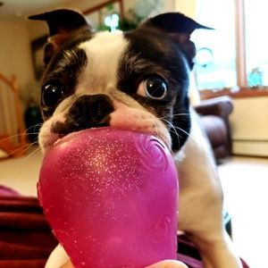 Meet your Posher, Meryl